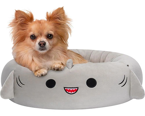 Squishmallows Gordon Shark Pet Bed